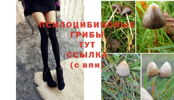 амф Баксан