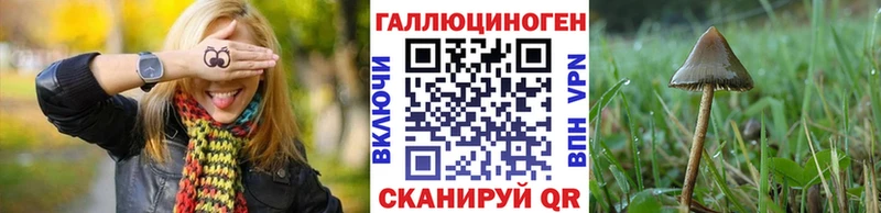 Галлюциногенные грибы GOLDEN TEACHER  Краснокаменск 
