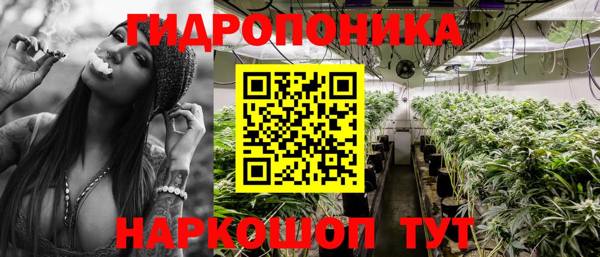 Бошки Шишки гибрид Краснокаменск
